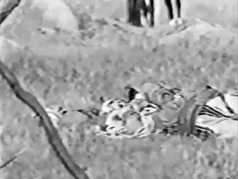 Azrailin Beş Atlısı 1971