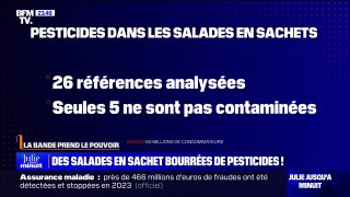 LA BANDE PREND LE POUVOIR - Des salades en sachet bourrées de pesticides