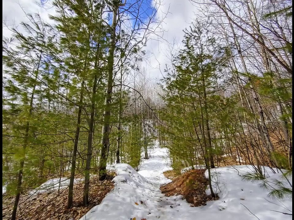 TOURISME Le parc nature Saint Jacques, a Sainte...