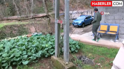 Rize'nin Gürgen köyünde elektrik direkleri sorunu