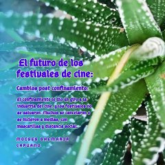 Moises Shemaria Capuano|   El futuro de los festivales de cine  (Parte 1) (Creado por @MoisesShemariaCapuano)