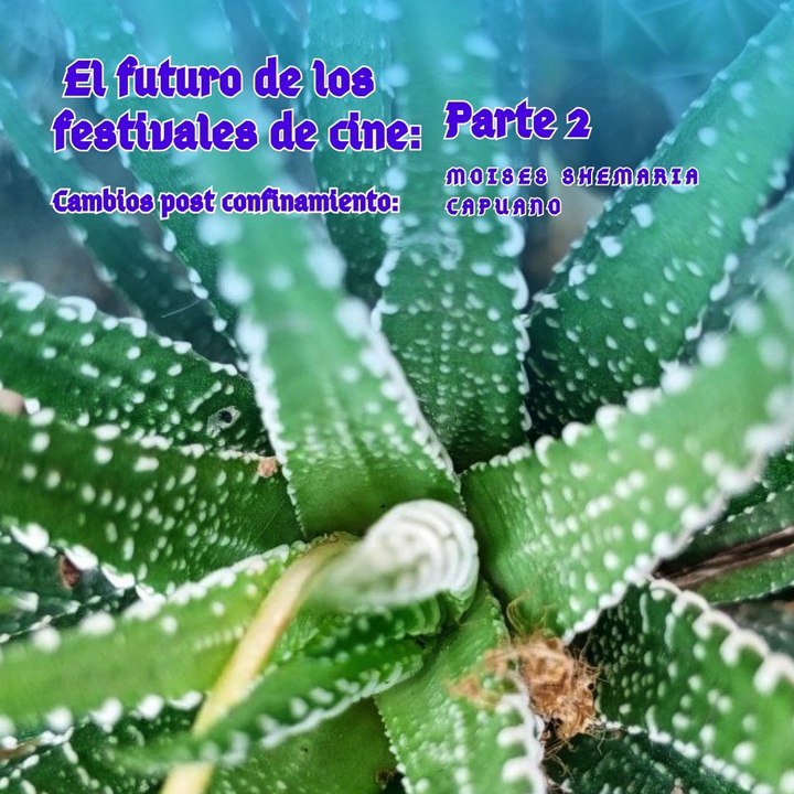 Moises Shemaria Capuano|  ¿Qué nos depara el futuro? (Parte 2) (Creado por @MoisesShemariaCapuano)