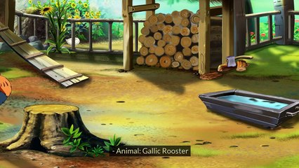 National Animal and Bird of Different Countries