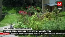 Conoce sobre el festival más grande del mundo para festejar a los murciélagos en Chapultepec