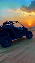 Embark on a thrilling journey across the golden sands of the desert