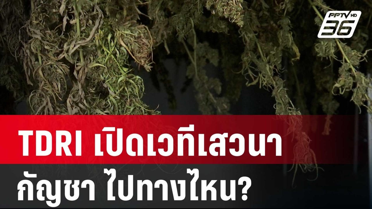 TDRI เปิดเวทีเสวนา ถก กัญชา ไปทางไหน? | เที่ยงท...