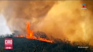 Aumentan los incendios forestales en el país; ya son más de 10 mil hectáreas dañadas