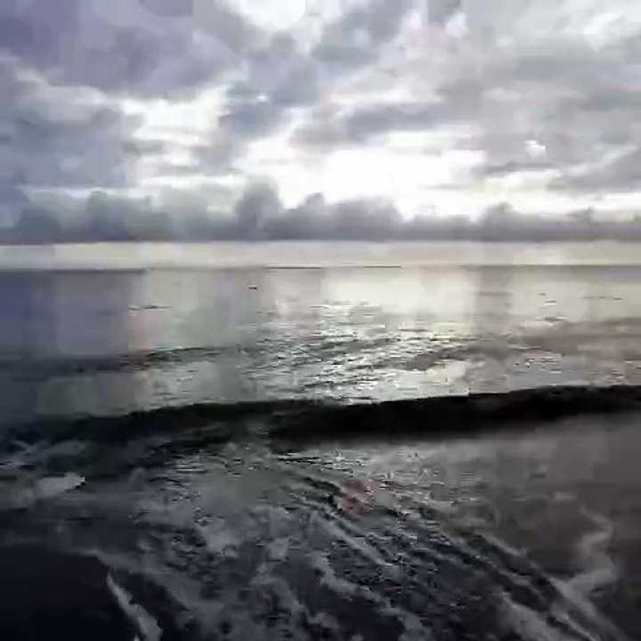 waves
