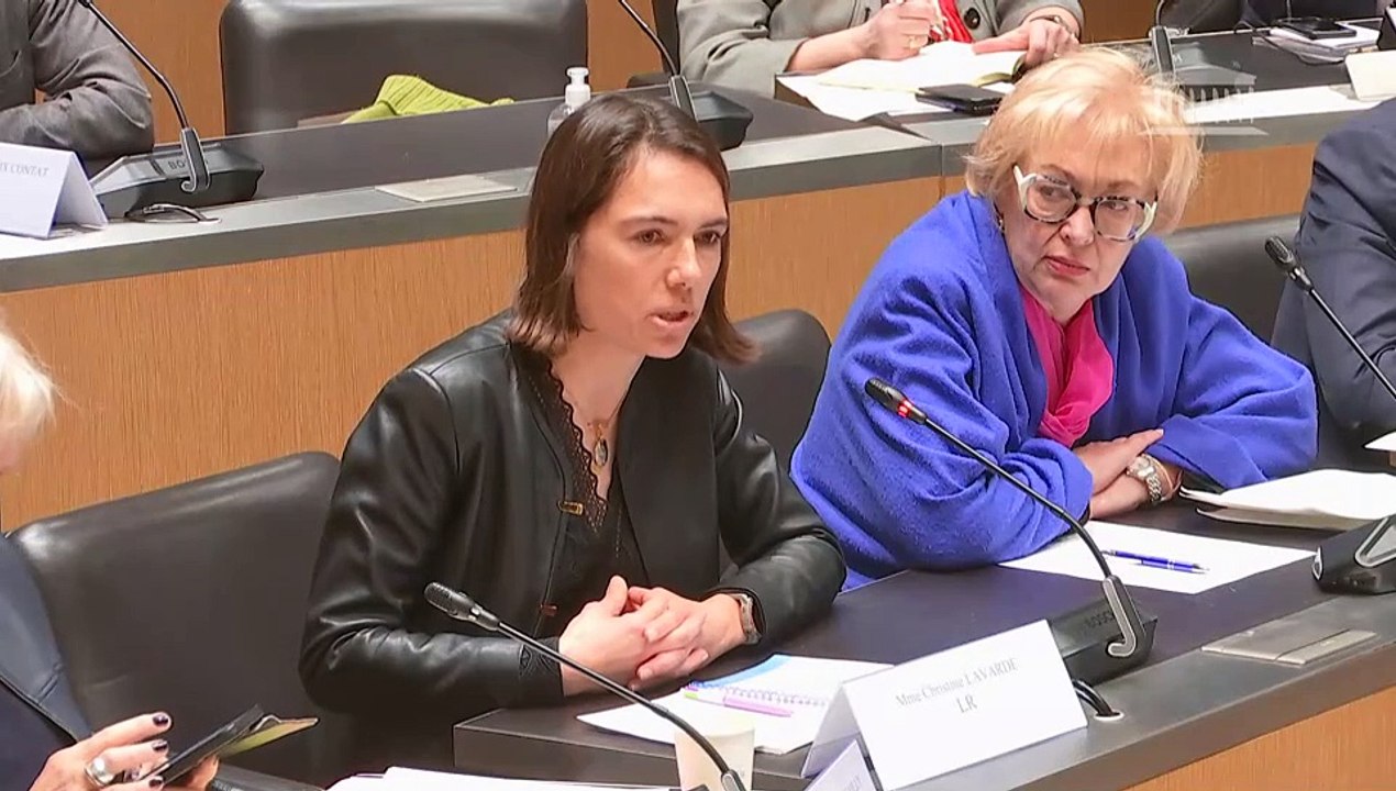 Commission des affaires européennes : Bilan de la législature européenne avec les délégations françaises des groupes politiques du Parlement européen - Jeudi 28 mars 2024