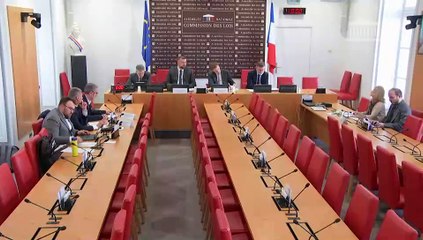 Perte de souveraineté alimentaire de la France : M. Thierry Roquefeuil, président du Centre national interprofessionnel de l’économie laitière (CNIEL) ; Audition de représentants d’Intercéréales - Jeudi 28 mars 2024