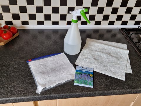 Lavender seeds cold stratification: Gardening with Brendan