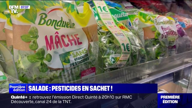 Le magazine 60 millions de consommateurs alerte sur la présence de pesticides dans de nombreuses salades en sachet