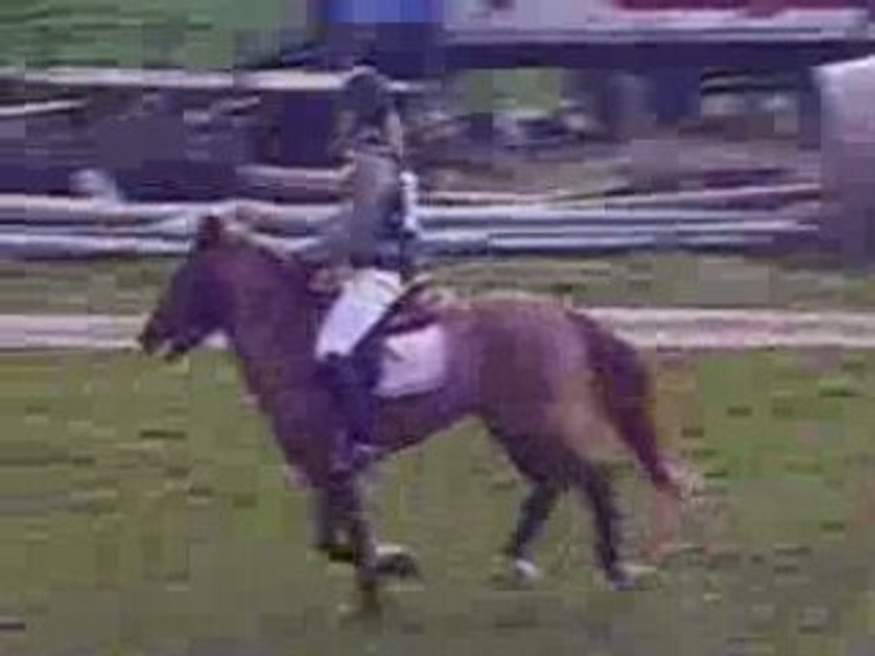 Cce cross sancourt 060408