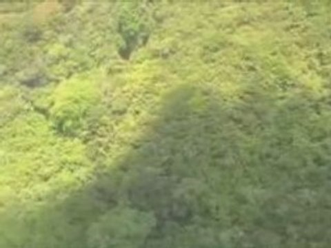 LearnAboutPanama.com - Air Panama to San Blas