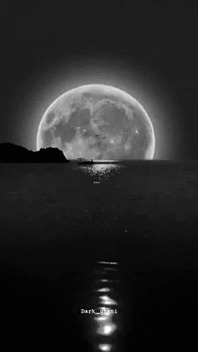 __❤_#fyp_#fypシ_#foryou_#status_#aesthetic_#support_#songs_#viralvideo_#trendingsong_#growvideo_#explorepage_