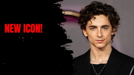 Timothee Chalamet's Warner Bros Legacy