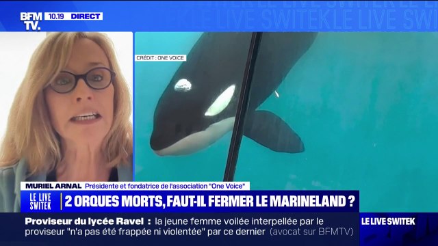Orques mortes à Marineland: la présidente de One Voice propose une solution de sanctuaire pour les animaux du parc