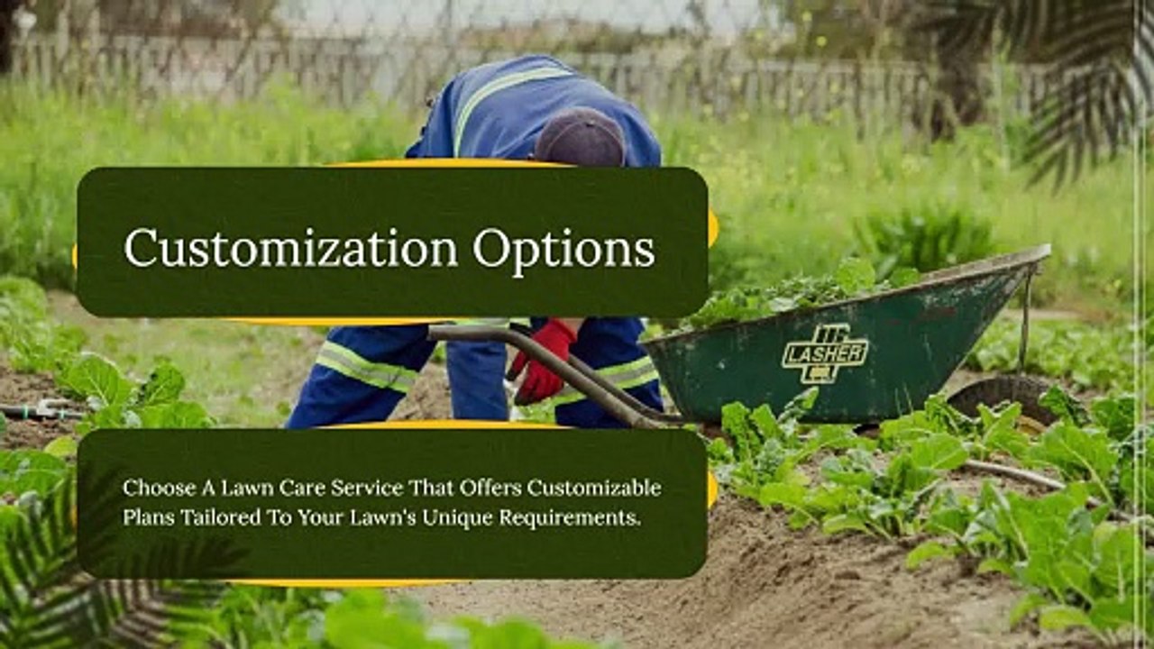 Lawn Care Worcester MA