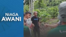 Jentayu dapat kelulusan ambil alih aset Telekosang Hydro, Jentayu Solar