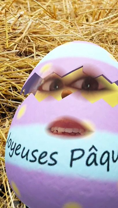 Drôle vidéo