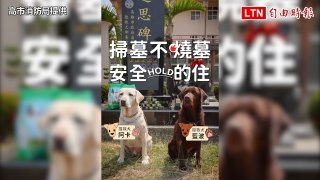 高雄2搜救犬清明節為這事大打出手  網友笑翻（高市消防局提供）