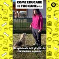 Come educare il cane parte 5