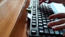 ASMR ✨ keyboard sounds  / gum chewing / typing / no talking