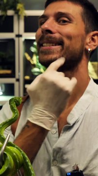 Les serpents sont de vrais prédateurs grâce à CET attribut !