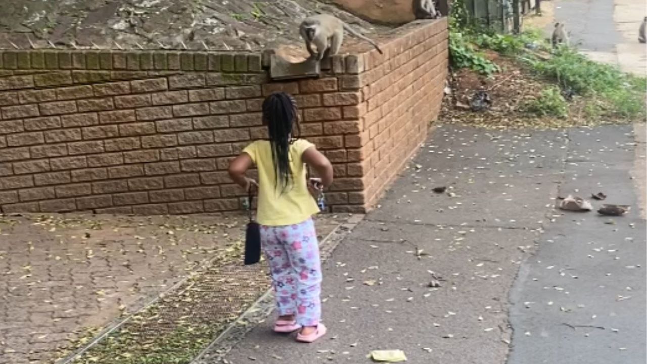 Monkey Business goes BANANAS: Excited girl's photo-op quest backfires!
