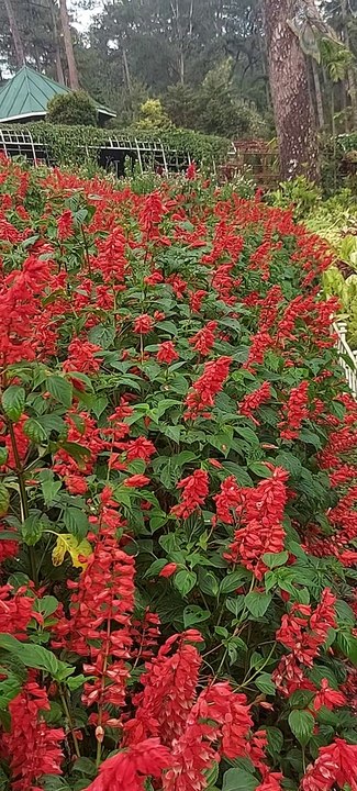 Botanical Garden