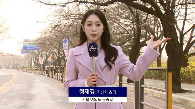 [날씨]꽃샘추위에 황사까지…벚꽃 없는 ‘벚꽃 축제’