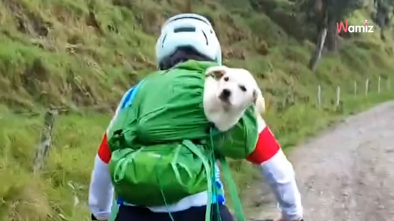 Elle fait une sortie en vélo mais la balade prend soudainement un tournant imprévu (vidéo)