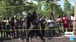 Ouganda : le catch de boue, un sport dérivé du catch américain