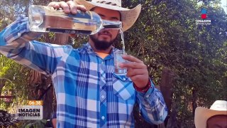 Raicilla, bebida del peregrino en Jalisco |  #ImagenNoticiasGDL con #RicardoCamarena