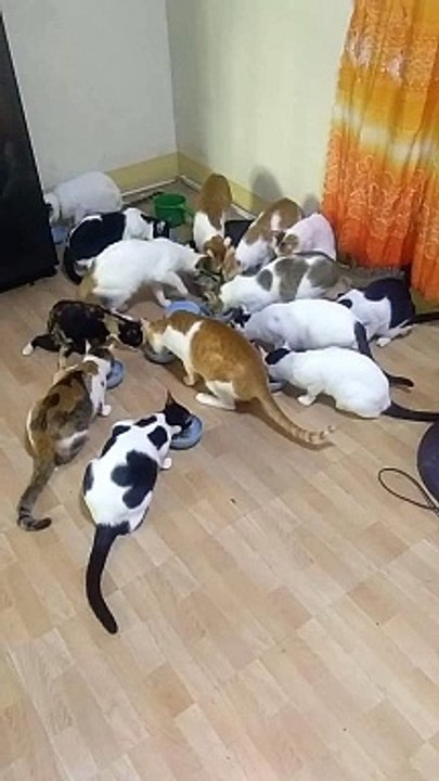feeding time