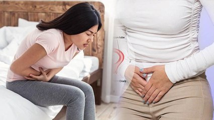 Perimenopause Me Pet Dard Kyu Hota Hai|Caues Of O-vary Pain During Perimenopause In Hindi|Boldsky