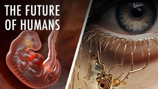 What Will Humans Look Like In The Future? | Unveiled