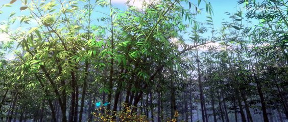 Tru Tiên Phần 2 Tập 27 Vietsub