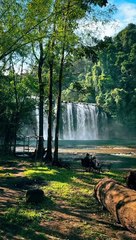 tara pahinga tayu sa ilalim ng kalikasan