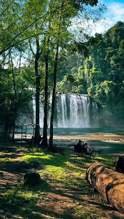 tara pahinga tayu sa ilalim ng kalikasan