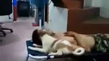 my pet