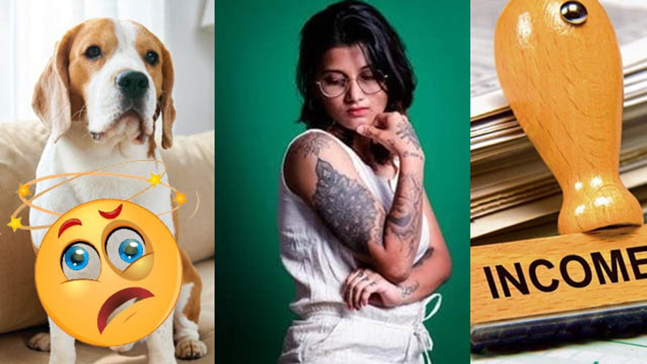 Most Weired Tax: Bachelors, Tattoo To Toilet Fl...