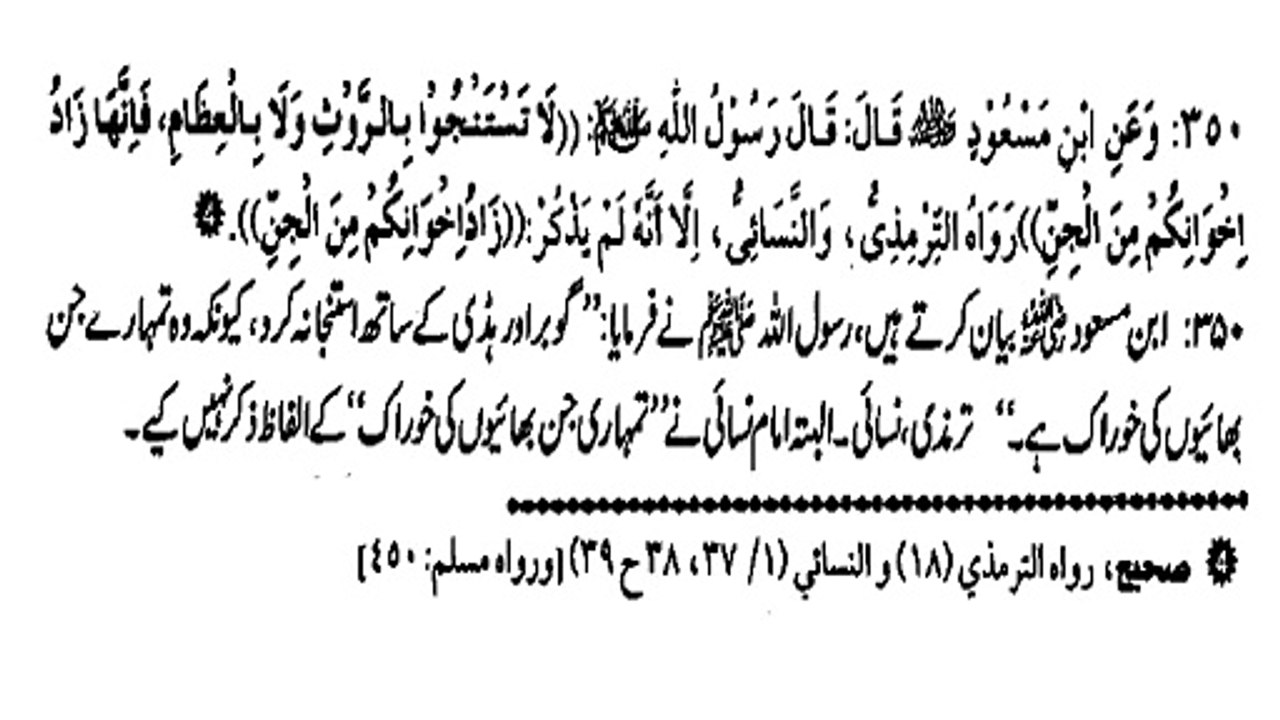 JINNAT KYA KHAATAY HAIN ? (350)