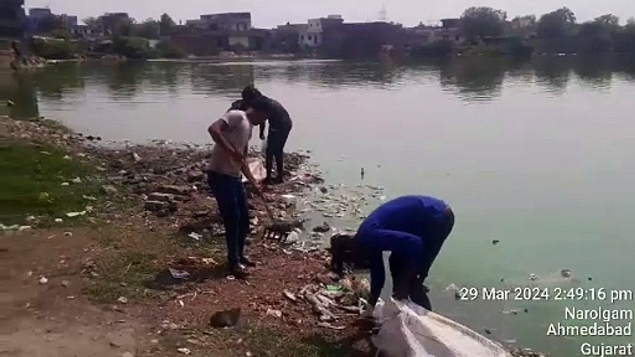 नारोल के तालाब में बड़ी संख्या में मृत मिलीं मछलियां