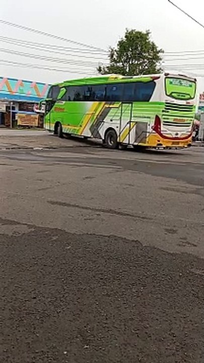 Bus mania
