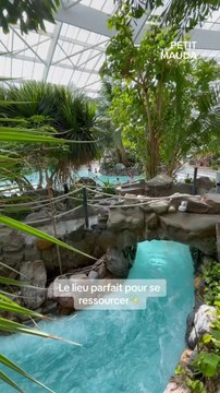 Le Center Parcs des Hauts de Bruyères ! ❤️‍#petitmauda #vacances #CenterParcs #HautsDeBruyère