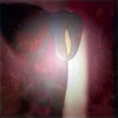 Big Time Rush S02E24 Big Time Superheroes