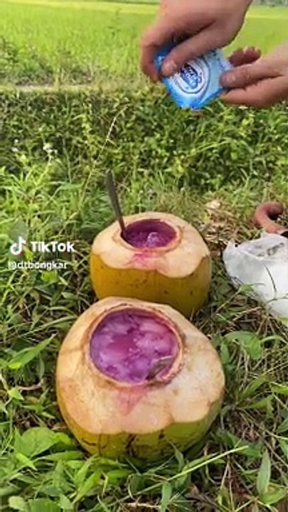 Makan besar