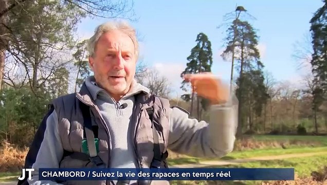 CHAMBORD / Suivez la vie des rapaces en temps réel