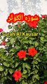 Surah Al Kauser | Surat ul Kouser | learn quran | Tilawat quran pak beautiful voice